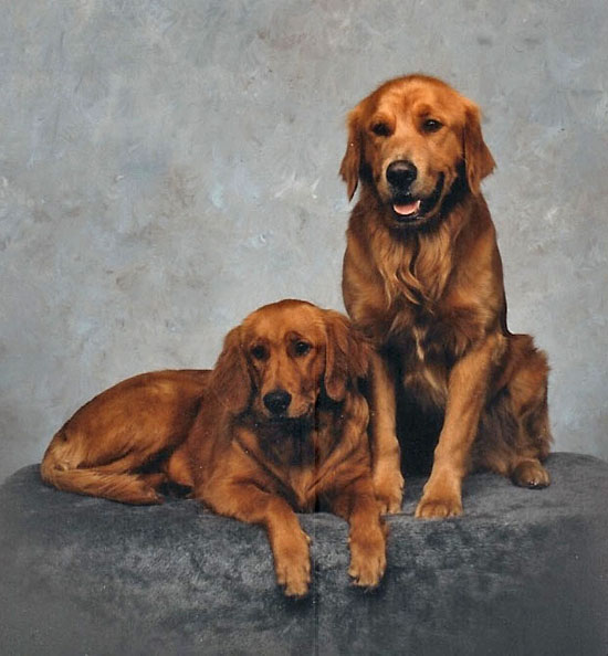 George and Lailah