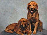 George (sitting) and Lailah