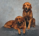 George (sitting) and Lailah