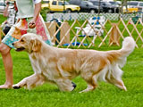 Misti with Maddie