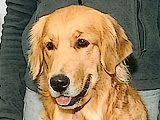 Sotto